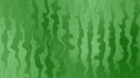 Watermelon rind wave, 4k background video of fruit Video stock 277686521