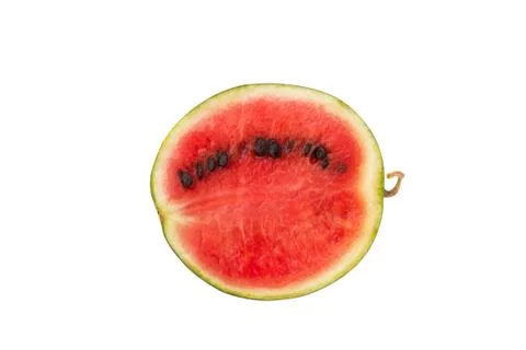 Watermelon ripe 스톡 사진