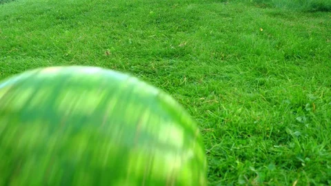 Watermelon Rolling over a Freshly Mown Lawn Видео 84482829