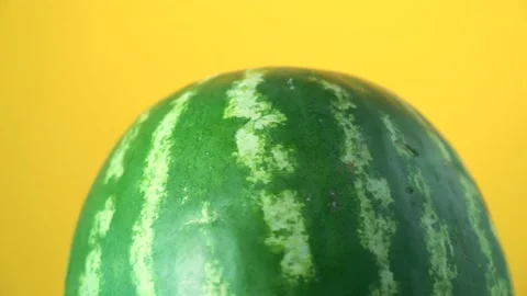Watermelon rotating on yellow background Stock Footage 156842513