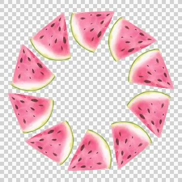 Watermelon round frame. Hand drawn watercolor illustration. Illustrazione stock