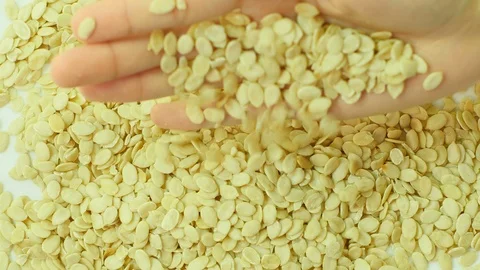 Watermelon seed falling from hand. 库存影片 89613161