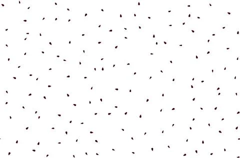 Watermelon seed pattern texture background. Fruit seed pattern healthy 库存插图