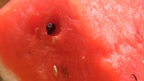 Watermelon with seeds Stock-Footage 112823360