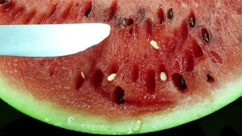 Watermelon seeds removal 스톡 동영상 77562226