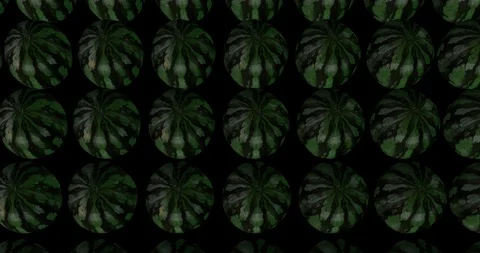 Watermelon serial production Stock Footage 102906301