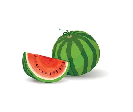 Watermelon set. Summer fruit Ilustración de archivo