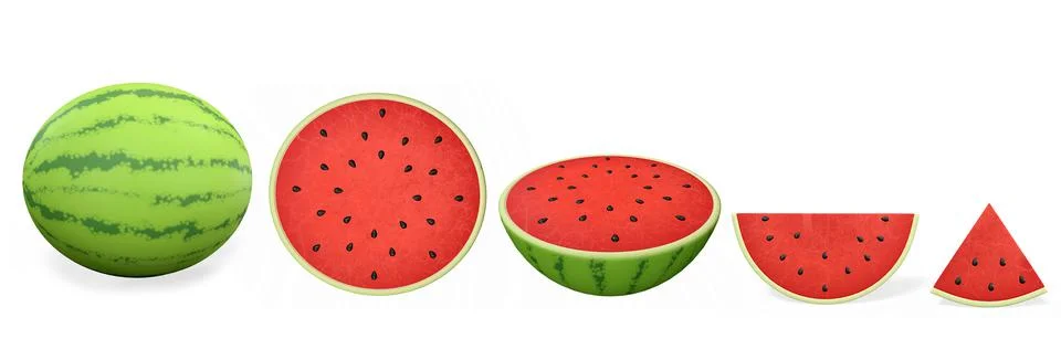 The watermelon set in various shapes 3d-rendering イラスト素材