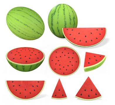 The watermelon set in various shapes 3d-rendering イラスト素材