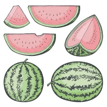 Watermelon Sketches Stock Illustration