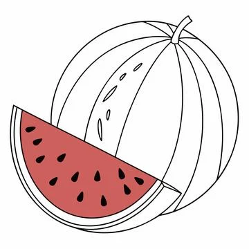 Watermelon slice and whole fruit outline graphic with white background Stock Illustration
