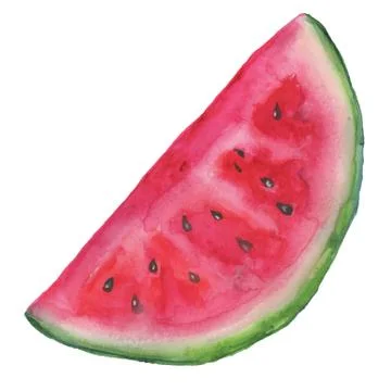 Watermelon slice background with seed and skin texture Illustrazione stock