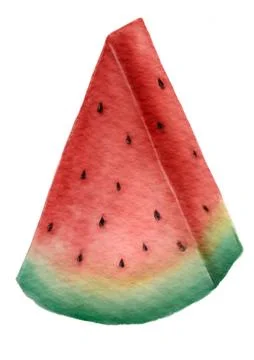 Watermelon slice hand drawn painted isolated on white background Stock Illustration