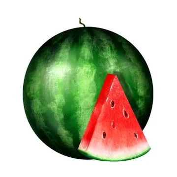 Watermelon with slice Stock Illustration