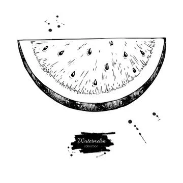 Watermelon slice vector drawing. Isolated hand drawn berry on white Stock Illustration