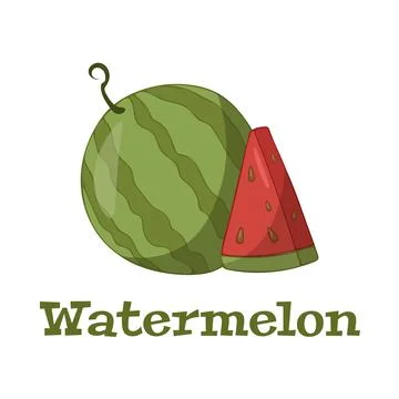 Watermelon with Slice Vector illustration. Watermelon Illustration Fruit Vector Stock Illustration