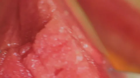 Watermelon Sliced Knife Slowmo Closeup Видео 65713121