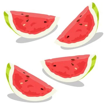 Watermelon slices pattern on white background. Tropical fruit on summer season i Stock Illustration