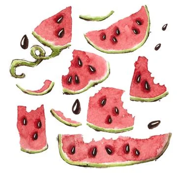 Watermelon Slices Set Stock Illustration