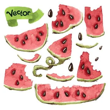 Watermelon Slices Set Stock Illustration