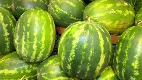 Watermelon. Stack of watermelons together at the grocery counter Stock Footage 249594976