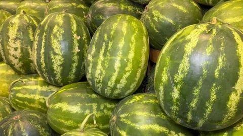 Watermelon. Stack of watermelons together at the grocery counter 스톡 사진