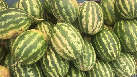Watermelon stand in local bazaar 스톡 동영상 112603185