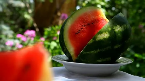 Watermelon sunny summer day 库存影片 11492913