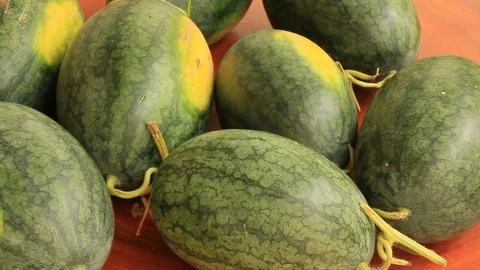 Watermelon on the table Stock Footage 76766766