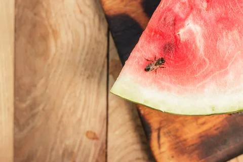 Watermelon on the table Stock Photos
