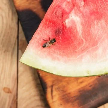 Watermelon on the table Stock Photos