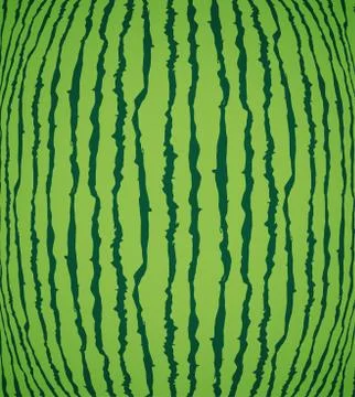 Watermelon texture background, vector Stock Illustration