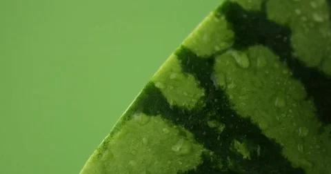 Watermelon texture composition on rotating platform Video stock 77255180