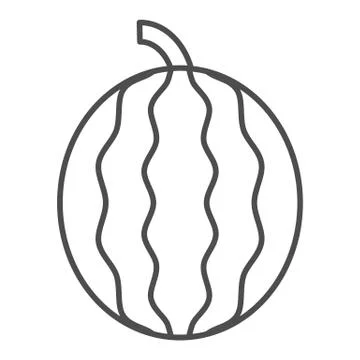 Watermelon thin line icon. Summer fruit vector illustration isolated on white Stock Illustration