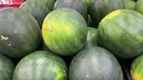 Watermelon tracking shot vidio Video stock 276641658
