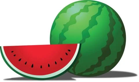 Watermelon is a tropical fruit Stock Illustration