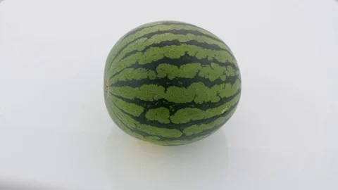 Watermelon on Turntable Stock Footage 75869029