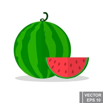 Watermelon. Vector flat illustration. Isolated on white background. Berry. イラスト素材