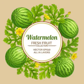 Watermelon vector frame on color background Stock Illustration