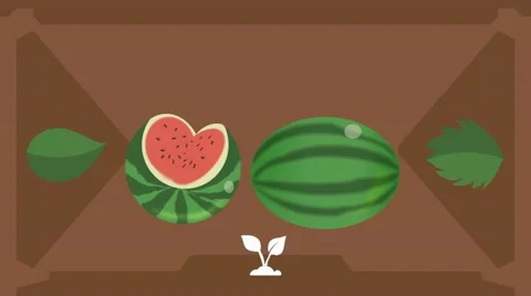 Watermelon  - Vector Graphics - Food Animation - brown Stock Footage 61297591