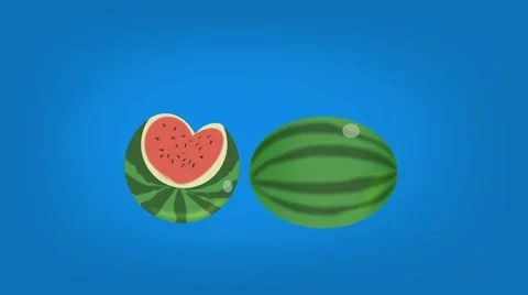 Watermelon  - Vector Graphics - Food Animation - blue Stock Footage 61297592
