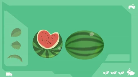 Watermelon  - Vector Graphics - Food Animation - healthy Stock Footage 61297609