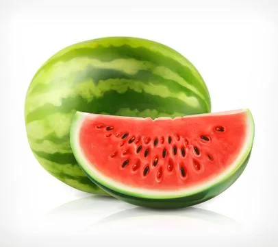 Watermelon, vector icon Illustrazione stock