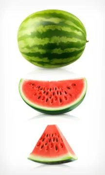 Watermelon, vector icons set Stock Illustration