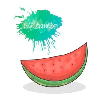 Watermelon vector illustration Stock Illustration