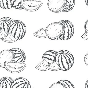 Watermelon. Vector   pattern. Stock Illustration