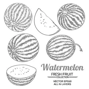 Watermelon vector set on white background Stock Illustration