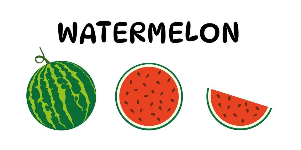 Watermelon vector. Watermelon on white background. wallpaper Stock Illustration