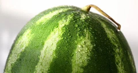 Watermelon with water drops. Washed fruit. Stock Footage 248790931