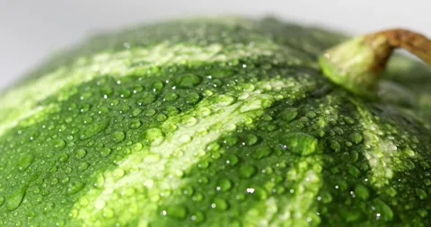 Watermelon with water drops. Washed fruit. Stock Footage 249084721